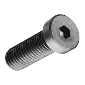 #10X1/2 LHC SCREW (100)